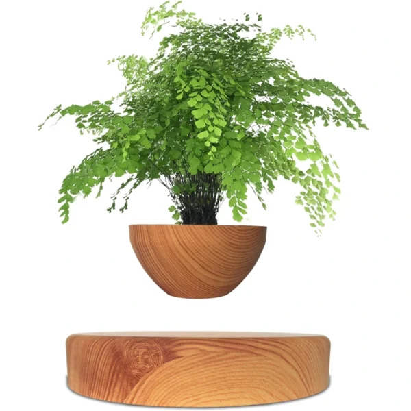 A Floating Wooden Plant Pot appears to float above a matching wooden base.