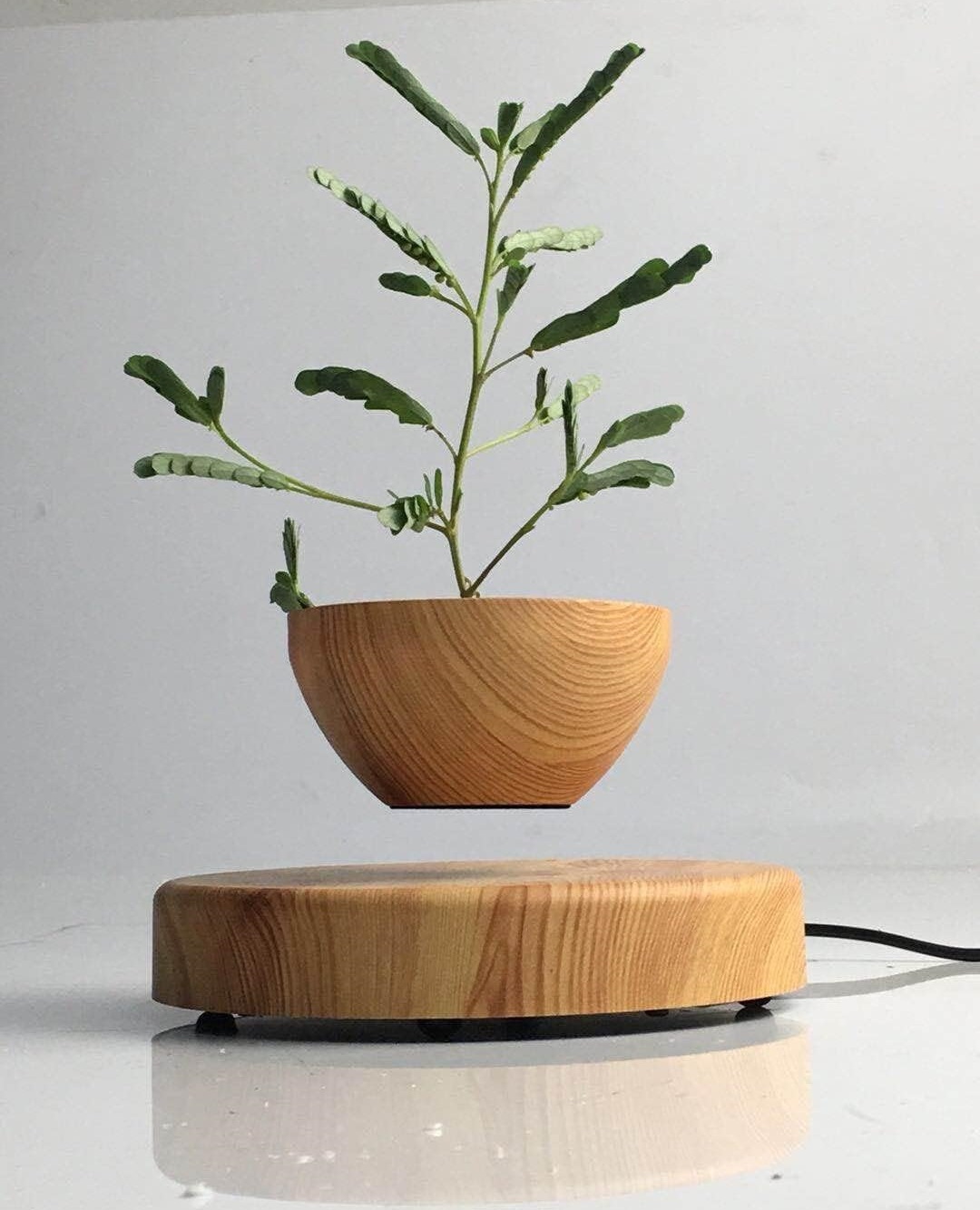 A Floating Wooden Plant Pot elegantly hovers above its corresponding base, set against a plain background.