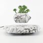 A Levitating Hexagonal Plant Pot with green succulents floats above a matching marble-patterned base.