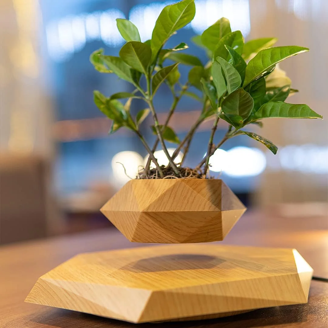 The Levitating Hexagonal Plant Pot gracefully floats above its corresponding base on a wooden surface, illustrating the enchantment of a hovering plant pot.