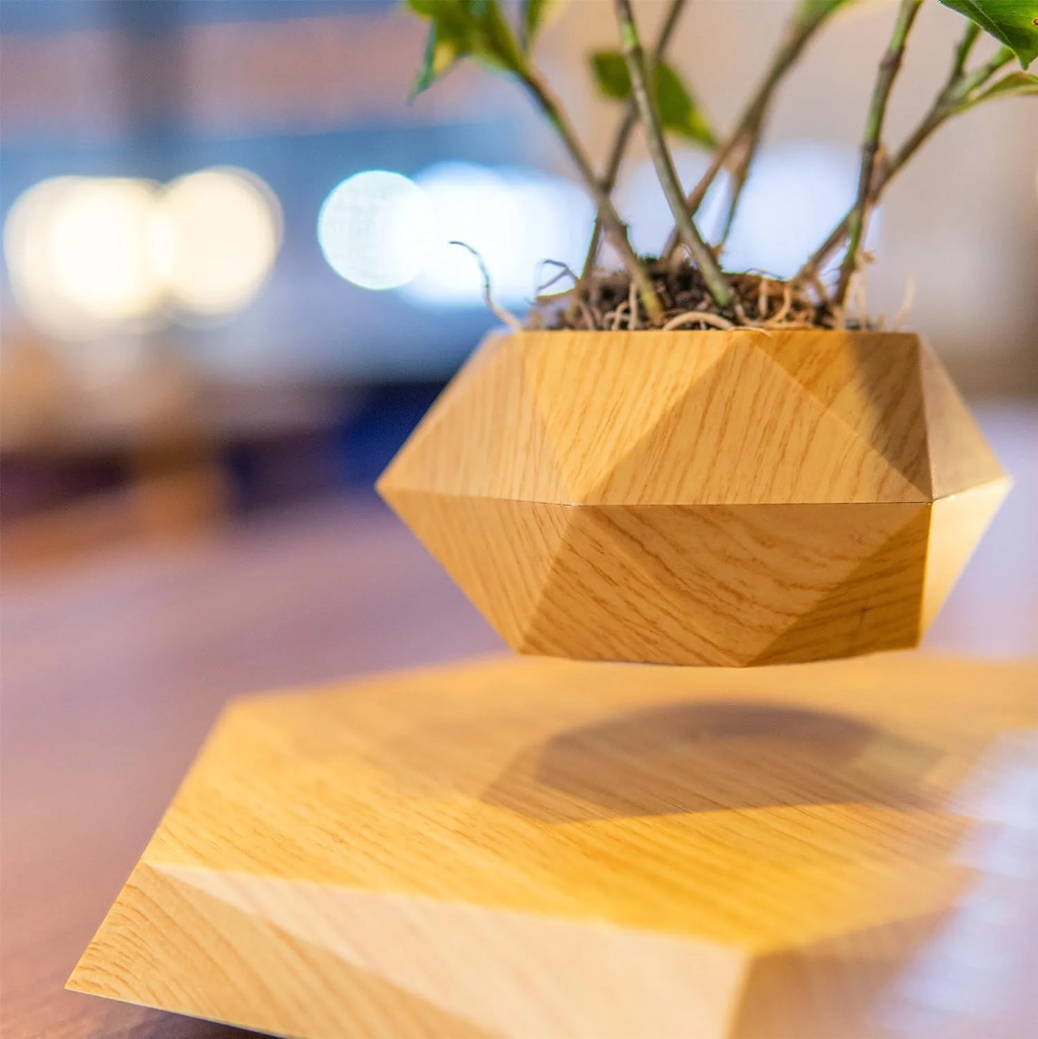 The Levitating Hexagonal Plant Pot gracefully hovers above a wooden base on the table, with small plants inside and blurred lights twinkling in the background.