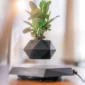 A small plant in an angular, black pot hovers above a matching black base, creating a floating effect.
