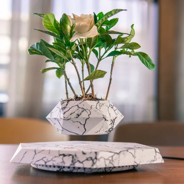 Levitating Hexagonal Plant Pot A white marbled plant pot with a flowering plant is levitating above a matching marbled base on a table.