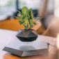 A small plant in a black, geometric pot levitates above a matching geometric base on a table.