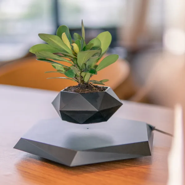 Levitating Hexagonal Plant Pot A small plant in an angular black planter levitates above a matching base on a wooden table with a blurred background.