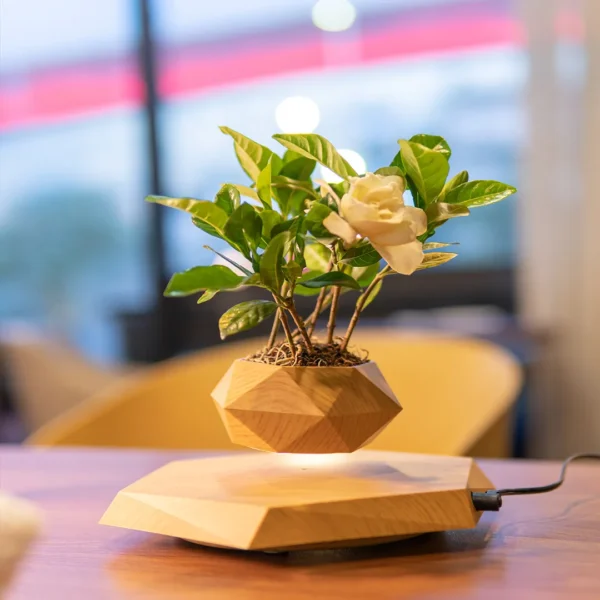 Hot Selling Air Bonsai Magnetic Levitating Flower Pot Floating Plant Pot Creative Gifts For Home Decoration 6 A small plant in a geometric wooden pot appears to be levitating above a similarly shaped wooden base on a table.