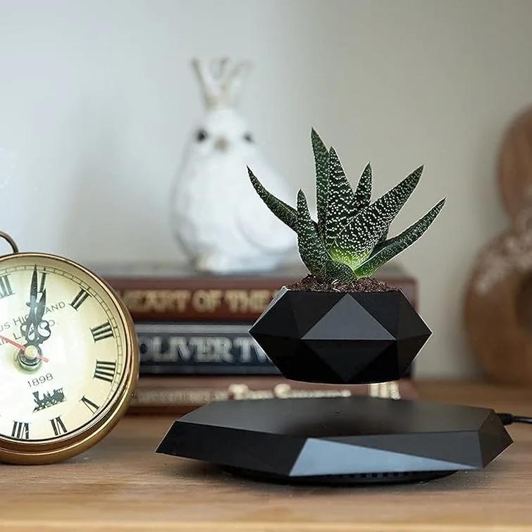 Modern shelf with a floating succulent planter, an antique clock displaying 3:30, and a stack of books and decorative items in the background.