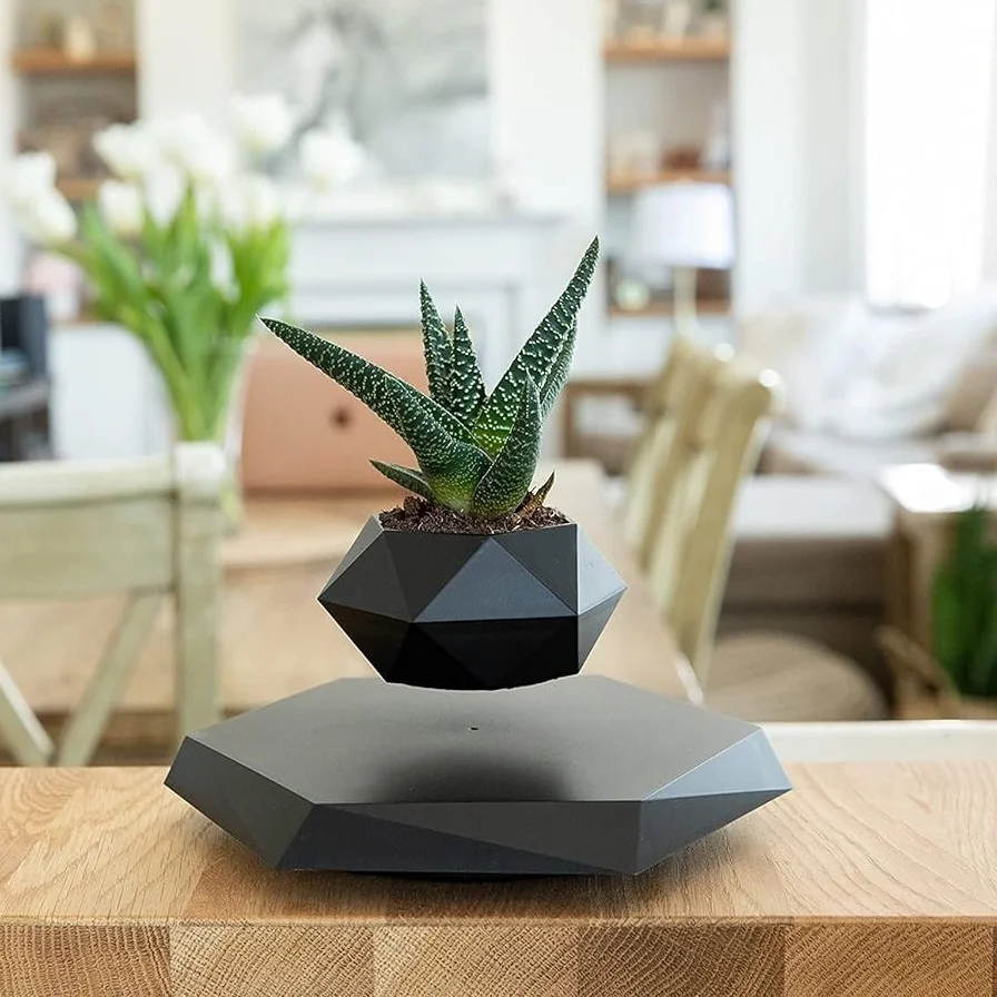A geometric planter with a succulent levitating above its base, on a wooden table in a living room setting.