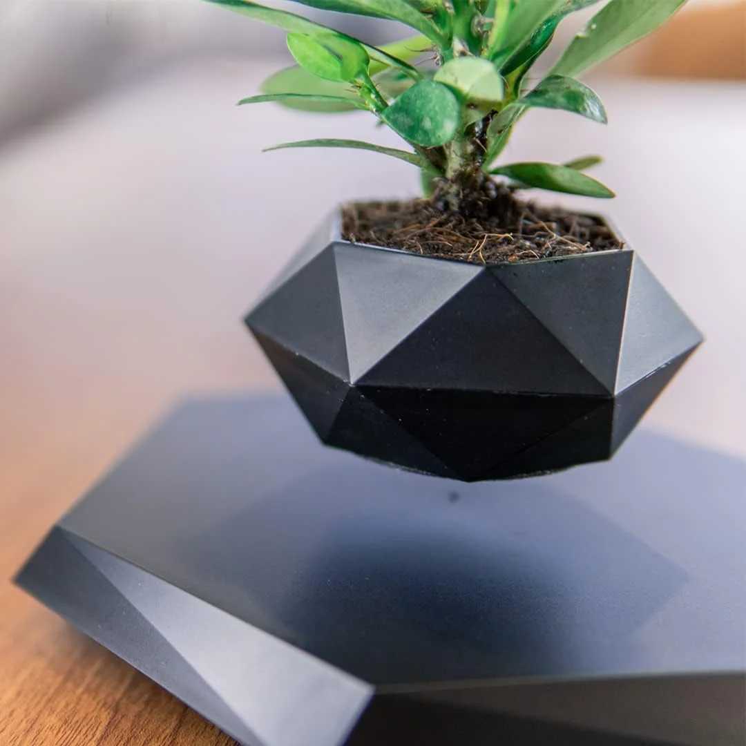 A small plant in a geometric pot floats above a base on a wooden surface.