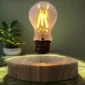 A levitating light bulb with visible filaments glows above a wooden base. A plant is in the background.