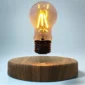 Floating Light Bulb 14