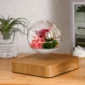 A glass orb with flowers levitating above a wooden base, with a small plant and books in the background.